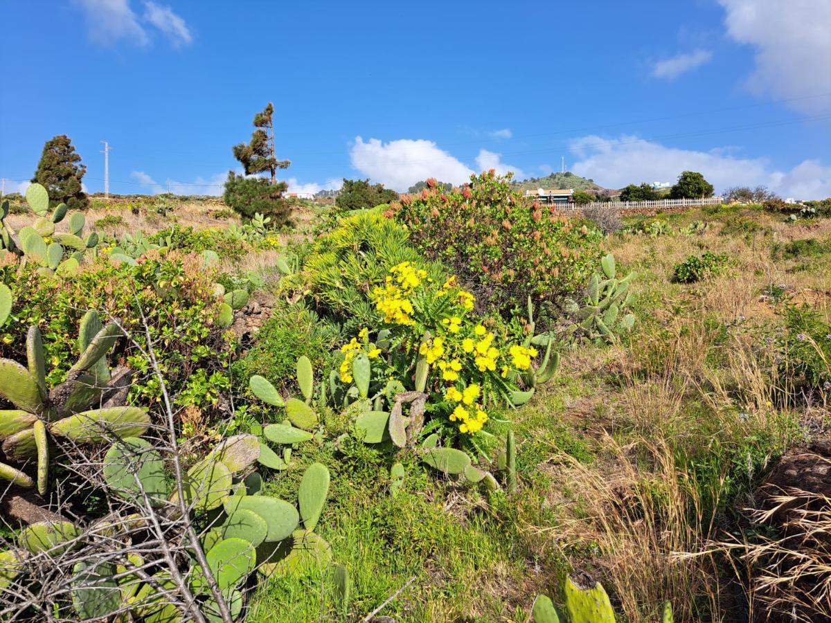 Casitas De Pao Dom wakacyjny El Pinar (El Hierro)