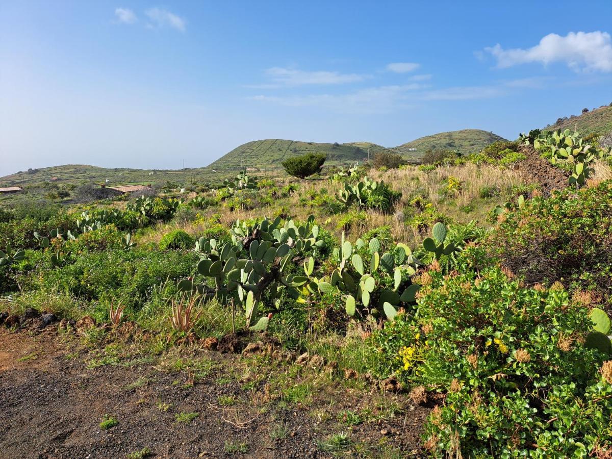 Casitas De Pao *