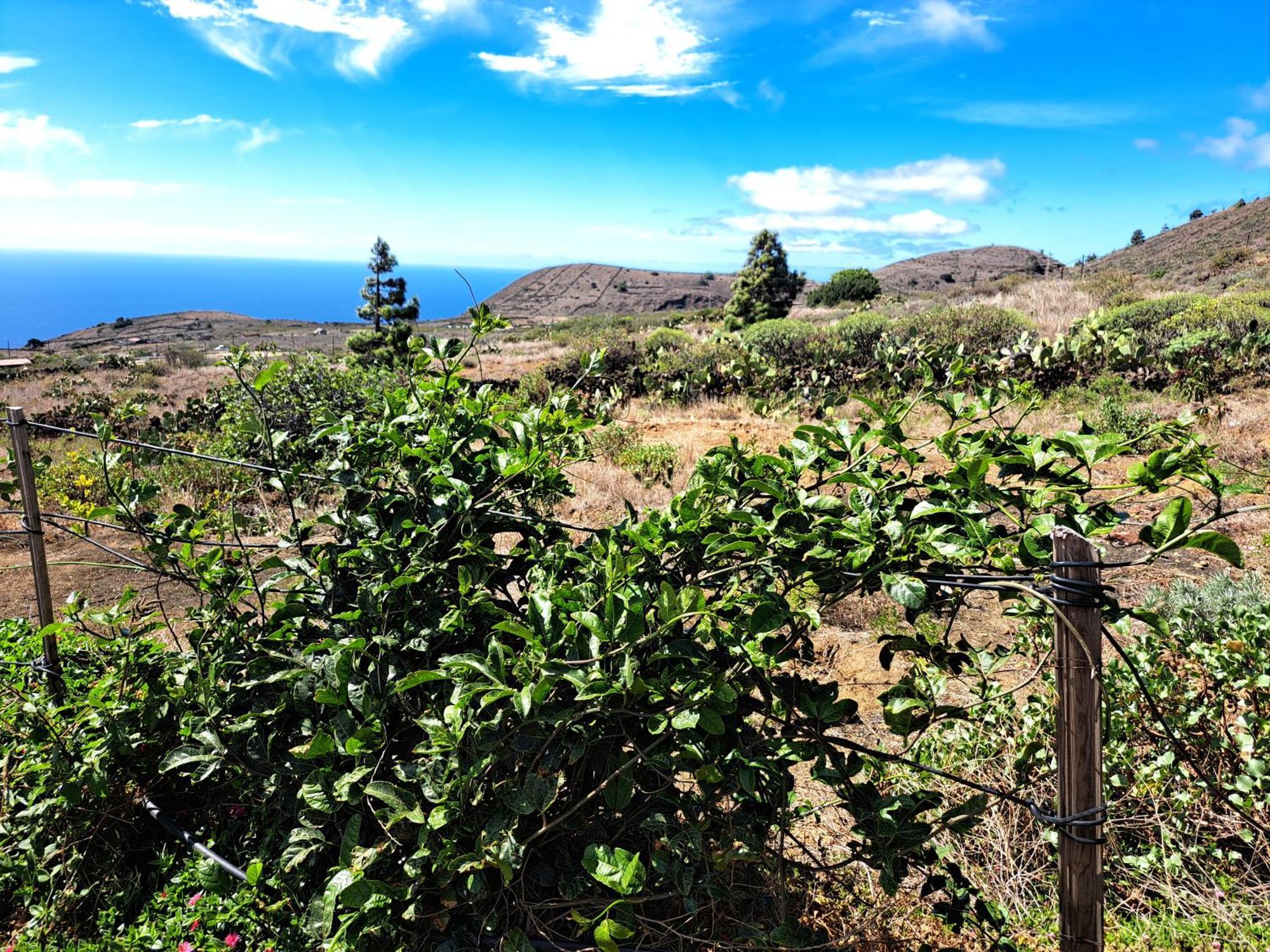 Casitas De Pao Holiday home *